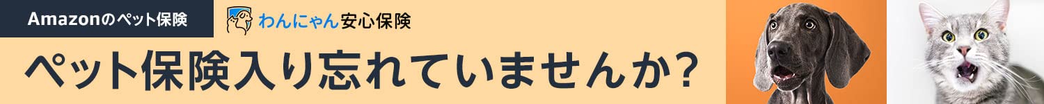 Amazonのペット保険、始めました