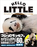 アドベンチャーワールドで生まれたあかちゃんパンダの奇跡: HELLO LITTLE 〈DVD付〉