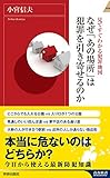 見てすぐわかる犯罪地図　なぜ「あの場所」は犯罪を引き寄せるのか (青春新書インテリジェンス)