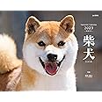 カレンダー2023 柴犬 (月めくり/壁掛け) (ヤマケイカレンダー2023)