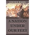 A Nation Under Our Feet: Black Political Struggles in the Rural South from Slavery to the Great Migration