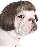 TESSVEYA Funny Dog Cat Cosplay Wig,Pet Wigs for Halloween, Christmas, Parties, Festivals, Dog Wigs for Small Medium and Large