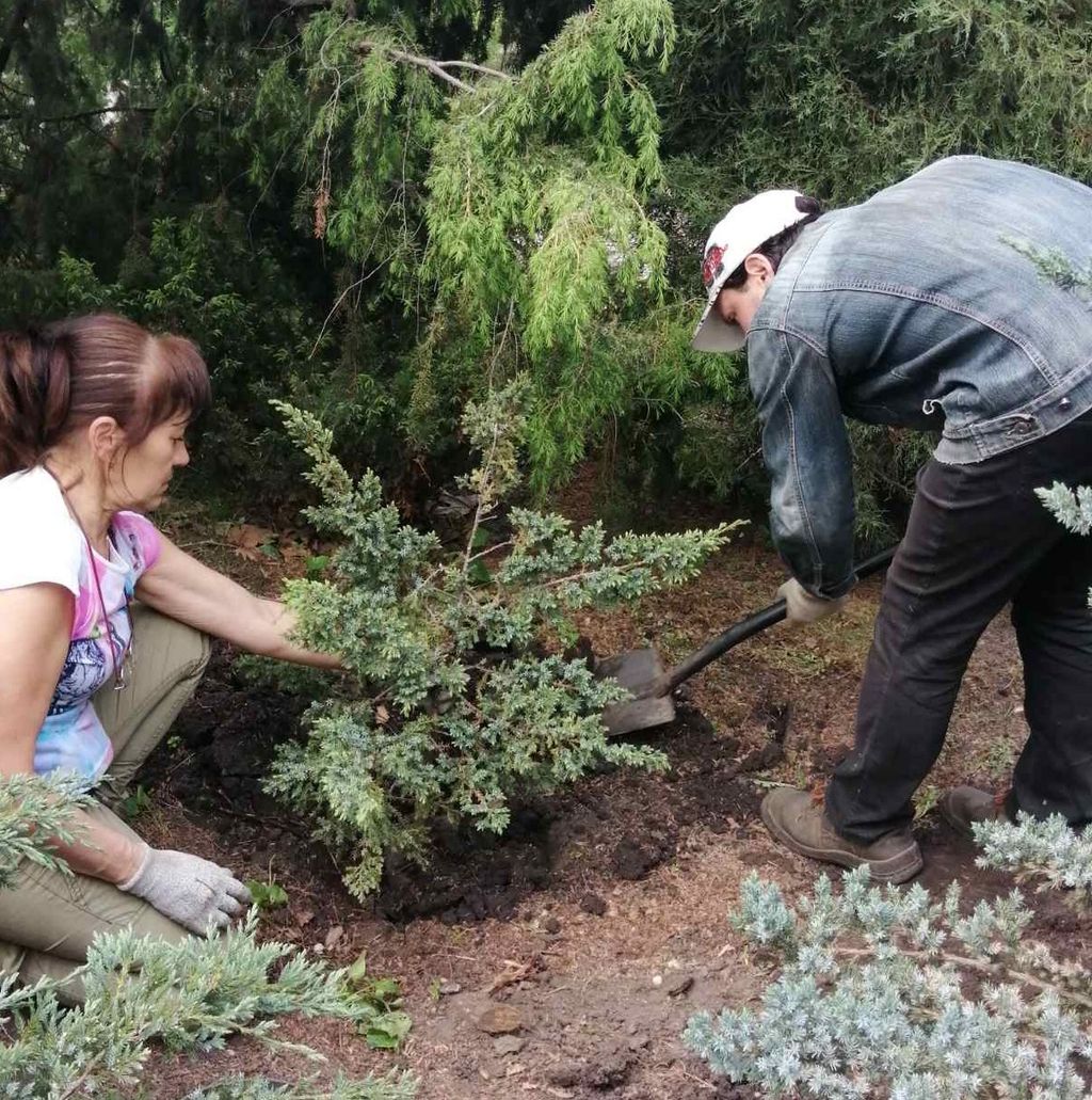 Zaporizhzhia City Botanical Gardenm.com/botsad_zp