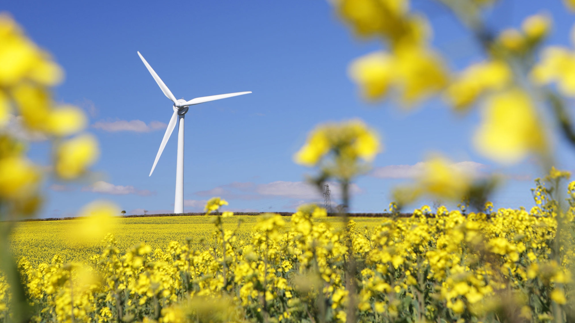 Environmental Sustainability: Windmill in field