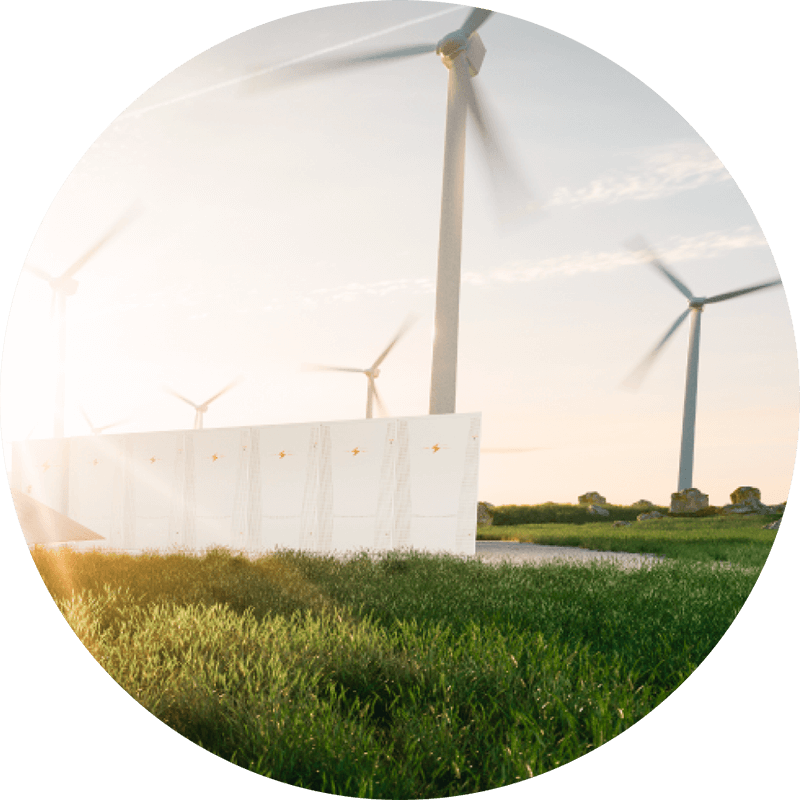 Windmills in a field of grass