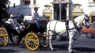 Juncal. Capítulo 6