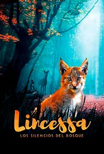 Lincessa. Los silencios del bosque