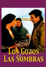 Los gozos y las sombras