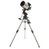 Celestron Advanced VX 8"...