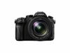 Panasonic LUMIX FZ2500 4K...