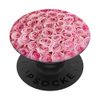 Pink Roses Flowers Pop Mount...