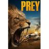 Prey (2024) English Movie D VD