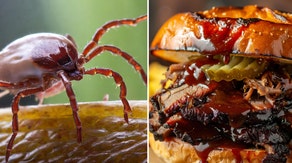 Tick bite to blame after Kansas man suffers near-fatal allergic reaction to barbecue sandwich