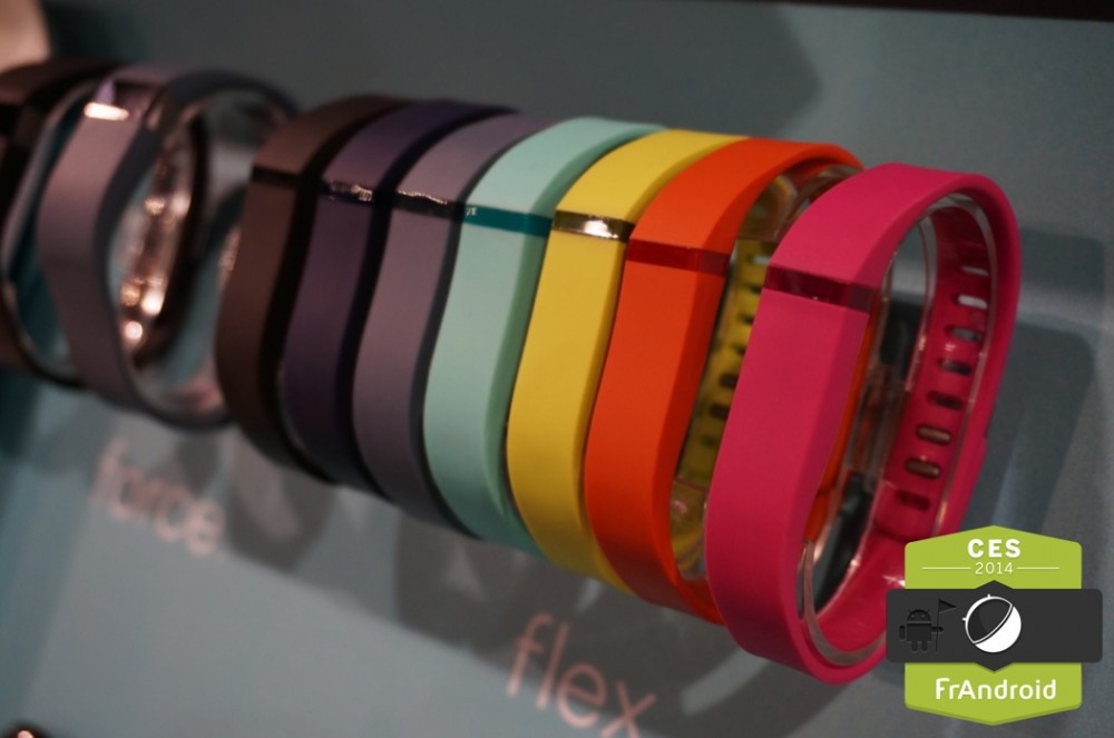 Fitbit Flex