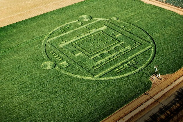 NVIDIA-crop-circle