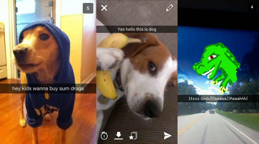 snapchat-dogs