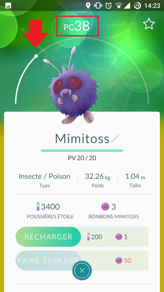 fiche pokemon