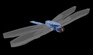 dragonfly 3d model