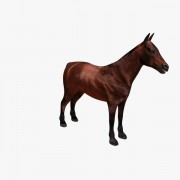  Horse v01  3d model