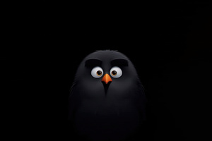 Angry Birds Bomb Minimal 5k Wallpaper