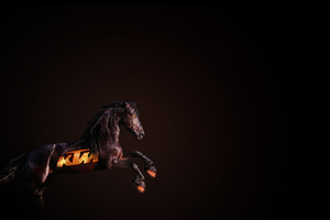 Ktm Horse (3440x1440) Resolution Wallpaper