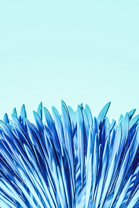 3d Render Flower 5k (360x640) Resolution Wallpaper