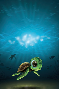 Cute Turtle Duality (1280x2120) Resolution Wallpaper