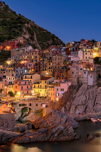 Italy Coast Sea Houses Manarola Crag Cliff Rocks (640x1136) Resolution Wallpaper