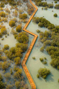 Jubail Mangrove Park Dubai (240x400) Resolution Wallpaper