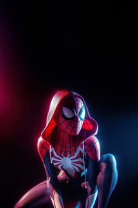 Spidergwen Cape (1440x2960) Resolution Wallpaper