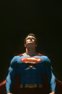 Superman Larger Than Life (1440x2960) Resolution Wallpaper