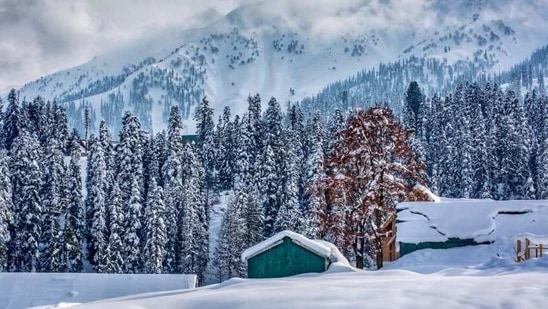 Northern India is currently enjoying winter season and the dip in temperature has resulted in snowfall in various regions.(Twitter/jindadilkashmir)