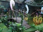 Bigg Boss 15 pool is more of a lake with a wooden bridge to cross from one side to another. 