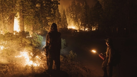 A fire in Northern California grew overnight after dry winds on Tuesday fanned flames, making the blaze the largest in the state so far this year.(AFP)