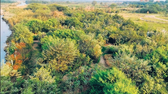 The land erosion in Delhi can, for the most part, be attributed to the unmanaged drainage system of three basin regions, Najafgarh, Barapullah and the trans-Yamuna basin. (Sourced)