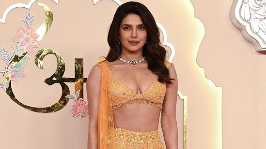 Priyanka Chopra is the most followed Indian actor (both male and female) on Instagram. She has a total of 91.8 million followers.The actor recently wrapped up the shooting of her upcoming film, The Bluff, and shared a glimpse of the wrap-up featuring her family, including Nick Jonas, Malti Marie, her mother, Madhu Chopra, and the film's cast. The Bluff, which is directed by Frank E Flowers, also features actor Karl Urban. It is set in the 19th-century Caribbean and follows the story of a former female pirate, played by Priyanka, who must protect her family when the sins of her past catch up to her. Produced by Russo Brothers' banner AGBO Studios and Amazon MGM Studios, the film promises to be a thrilling adventure. Apart from The Bluff, Priyanka is also set to star in Heads of State alongside John Cena and Idris Elba.