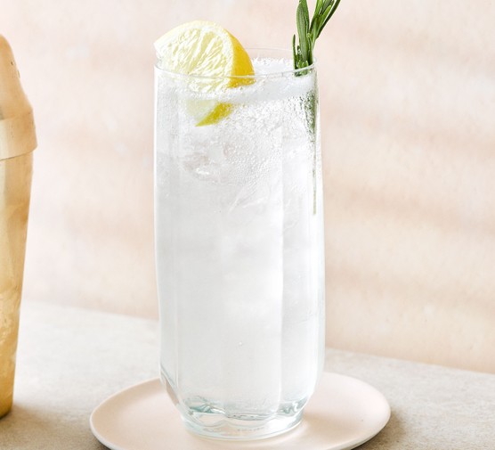 Gin sling cocktail with lemon garnish