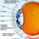 Picture of Eye Anatomy Detail