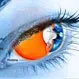 Picture of Eye