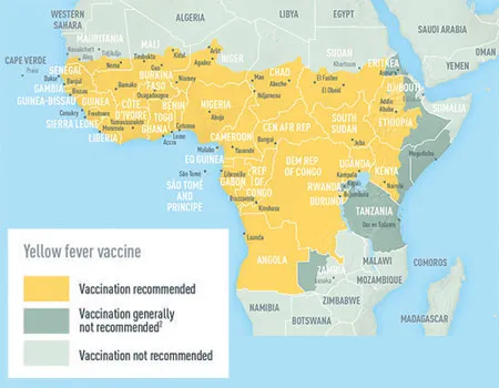 Picture of countries with risk of yellow fever virus transmission