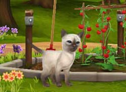 Pet Inn 3D (3DS eShop)