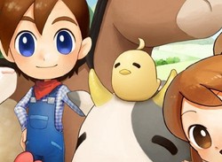 Harvest Moon: The Lost Valley (3DS)