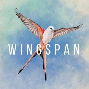 Wingspan