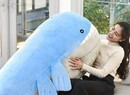 This Official Wailord Pokémon Plush Could Actually Squash You