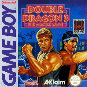 Double Dragon 3: The Arcade Game