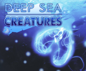 Deep Sea Creatures