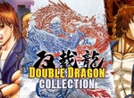 Double Dragon Advance, Super & Collection Announced For Switch