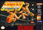 Natsume Championship Wrestling (SNES)