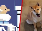 Games Done Quick Just Featured Its First-Ever Speedrunning Dog