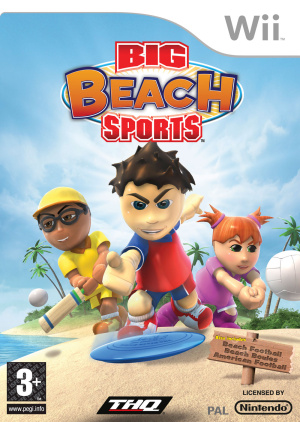 Big Beach Sports